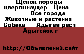 Щенок породы  цвергшнауцер › Цена ­ 30 000 - Все города Животные и растения » Собаки   . Адыгея респ.,Адыгейск г.